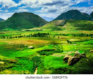 Madagascar Landscape