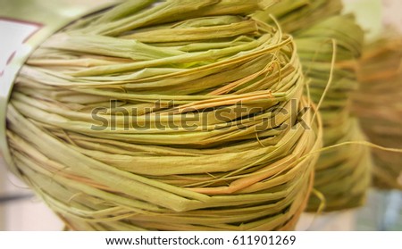 Madagascar Raffia bundles natural abstract background. Green and yellow. Raffia in long, supple natural fibers. Crafts, floral arrangements, gift baskets, doll making, gift wrapping, bows, home decor  Foto d'archivio © 