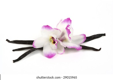 Madagascar Vanilla Pods And Exotic Orchids