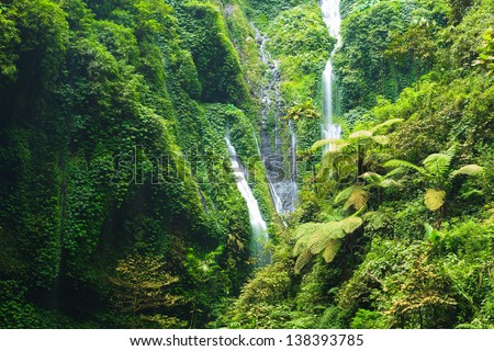 Madakaripura Waterfall ??- Deep Forest Waterfall in East Java, Indonesia