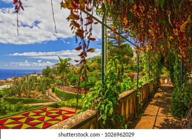 Madeira, Botanical Garden Monte, Funchal, Portugal