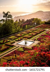 Madeira, Botanical Garden Monte, Funchal, Portugal