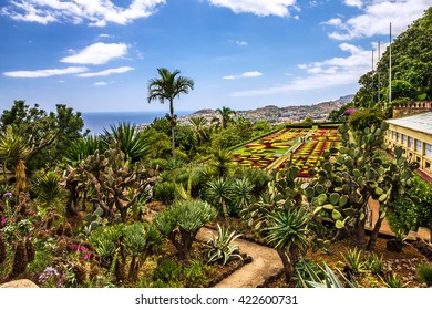 Madeira, Botanical Garden Monte, Funchal, Portugal