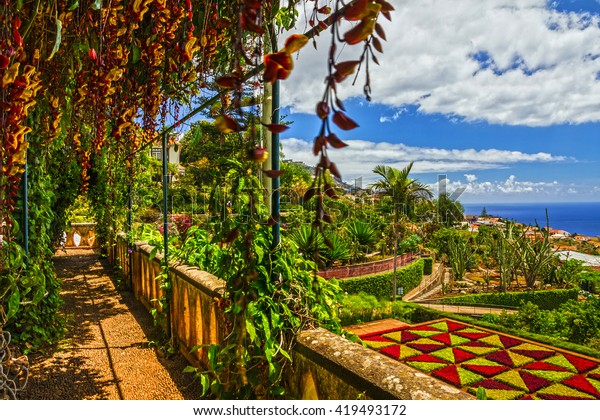 Madeira Botanical Garden Monte Funchal Portugal Stock Photo Edit