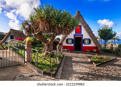 Madeira Island Travel And Landmarks. Charming Traditional Colorful Houses With Thatched Roofs In Santana Town, Popular Tourist Attraction In Portugal