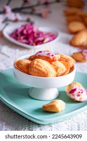 Madeleine, French biscuit cookies with sugar glaze. - Shutterstock ID 2245643909