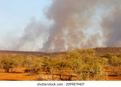 Madikwe Game Reserve. Fire.  South Africa. 