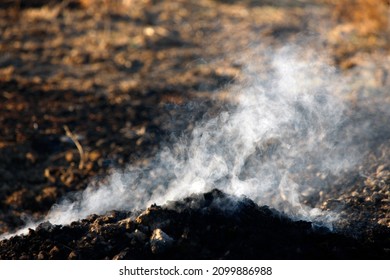 Madikwe Game Reserve. Fire.  South Africa. 