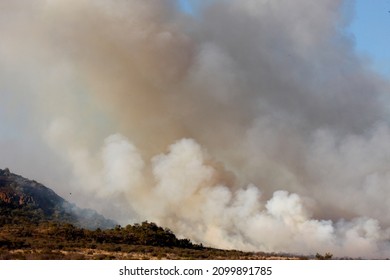 Madikwe Game Reserve. Fire.  South Africa. 