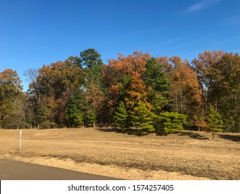 Madison, Mississippi- November 25, 2019 Beautiful Liberty Park. Southern Charm And Fall Foliage.