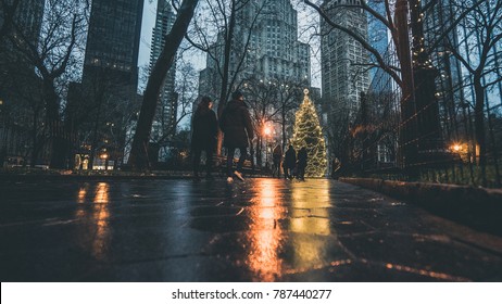 Madison Square Park Park Christmas Tree, New York