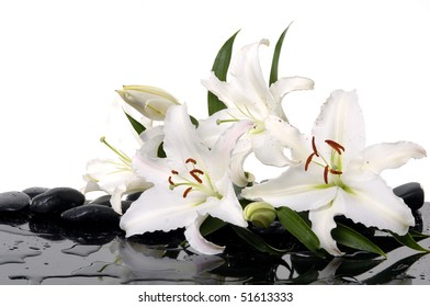 Madonna Lily And Spa Stone