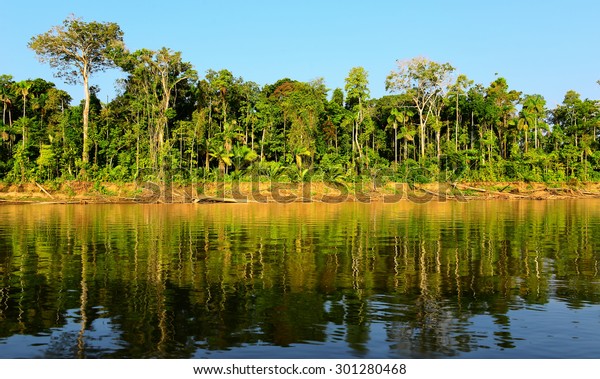 Madre De Dios Selva Peru Stock Photo (Edit Now) 301280468