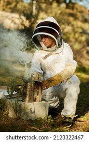 Madrid 5 February 2022 - Beekeeper is working with bees and beehives on the apiary