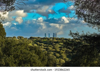 Madrid from the Pardo Forest