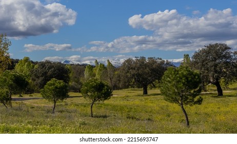 Madrid, Spain; 24 April 2022: Beautiful Landscape In The Mountains