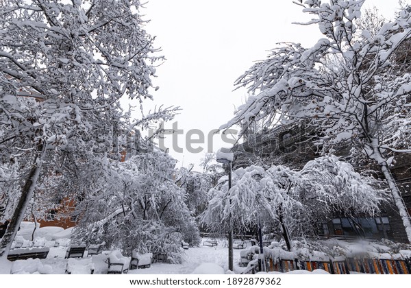 Madrid, Spain -\
9th January 2021: During the weekend of January 9, 2021, the sky\
broke and covered the city of Madrid with a beautiful white color,\
never seen before since the 50\'s.\
