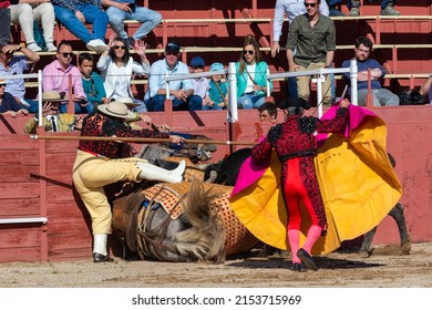 Madrid, Spain- April 30, 2022: Bullfight in San Martin de Valdeiglesias. Bullfighter with cape. Fighting bull. Bullfighter giving a capote pass to the bull in a bullring.