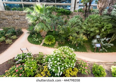 Beautiful Garden Resort Stock Photo (Edit Now) 678509611