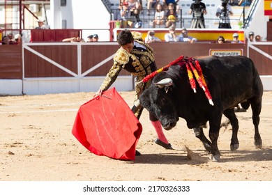 Madrid, Spain- June 19, 2022: Bullfight in the town of Villarejo de Salvanés. Bullfighter with capote in the bullring.