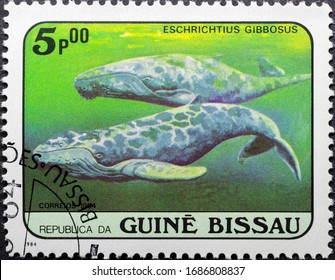 MADRID, SPAIN - MARCH 21, 2020. Vintage Stamp Printed In Guinea-Bissau Shows Gray Whale (Eschrichtius Robustus),  Known As The  Pacific Gray Whale