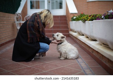 Madrid, Spain. March. A young blonde woman staring at her westie dog. Both of them from the side. At the background on the right pots with colorful flowers. She is wearing black coat and tartan scarf.