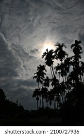  Mae Fah Luang Garden,locate On Doi Tung,Thailand , The Main Sculpture Of Children Playing In Silhoutte Style Was Taken On Dec 20,21