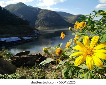 Mae Ping River