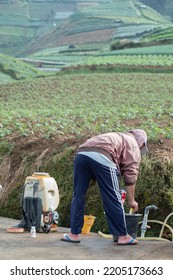 Magelang, Indonesia, 11, September, 2022, Young Farmer Preparing Organic Fertilizer With Manual Pump Tank Wearing Old Hat And Red Jacket