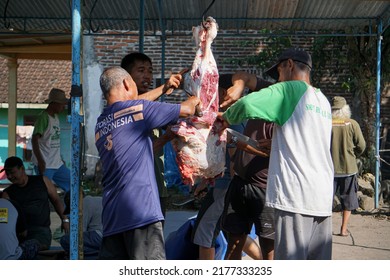 
Magelang, July 10, 2022 - Asian Men Cutting Beef During Eid Al-Adha Celebrations. Eid Al-Adha Is The Second And Bigger Of The Two Main Holidays Celebrated In Islam