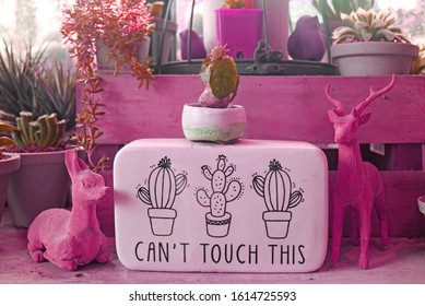 Magenta Pink Colored Indoor Gardening Space With Notice Board