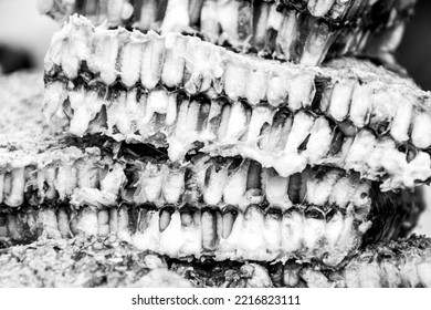 Maggots On A Food Market In Thailand