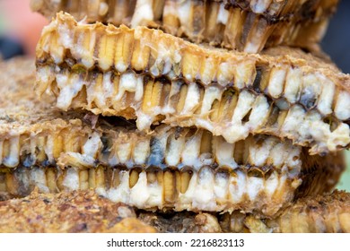 Maggots On A Food Market In Thailand