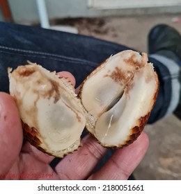 Maggots In Rotten Salak Fruit