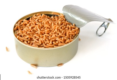 Maggots In A Tin Can On A White Background. Spoiled Food, Excess Food. Insect Invasion