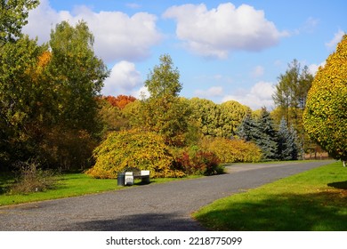 Magic autumn. Alley in the park. A bench to rest. Beautiful autumn colors