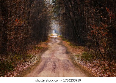 Forrest Path Images Stock Photos Vectors Shutterstock