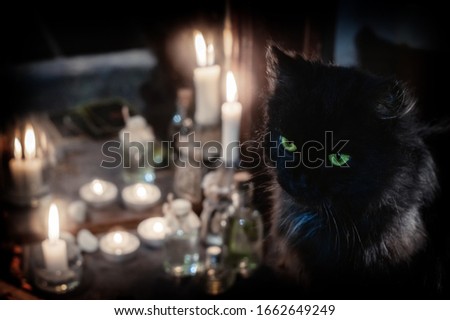 Magic concept. Black cat and burning candles near the old mirror

