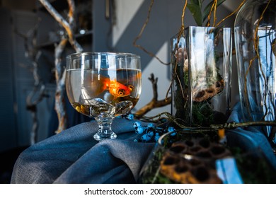 magic concept red multicolor siamese school gold fish beautiful tail aquarium tank blue water modern dark interior room gray wardrobe shelf decor table  fabric cloth dried flowers vases moss halloween