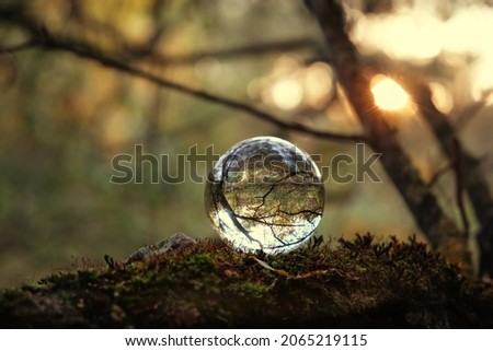Magic crystal ball in forest close up, abstract natural background. Fortune teller crystal ball for meditation, relax. Witchcraft, esoteric practice. spiritual ritual for summoning spirits, divination
