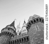Magic Kingdom Castle, Castle, Theme Park, Magical, Florida