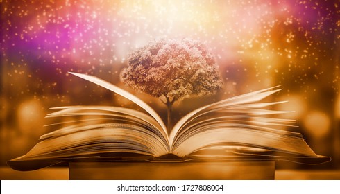 The magic of knowledge, the opening of the old big book in the library, with the magical light shining from above, is a great power of knowledge. - Shutterstock ID 1727808004