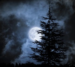 Magic Landscape With Pine Tree  Under Dramatic Cloudy Sky At Full Moon 