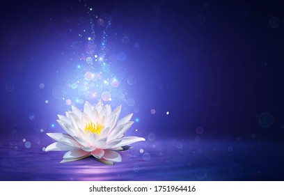 Magic Lotus Flower With Fairy Light - Miracle and Mystery Concept