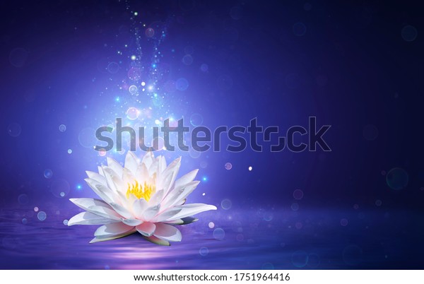 Magic Lotus Flower With Fairy Light - Miracle and\
Mystery Concept