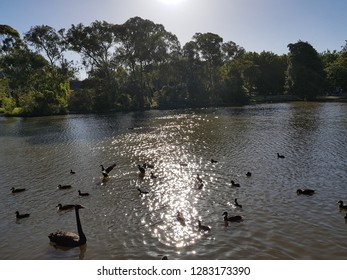 The Magic Of Merri Creek In Coburg