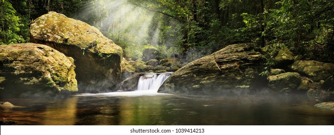 A magic morning in the jungle. Morning mist rising over the creek,  several sunbeams lighting down the tropical plants. The Stoney Creek, Kamerunga, Cairns, Far North Queensland, Australia. 