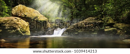 A magic morning in the jungle. Morning mist rising over the creek,  several sunbeams lighting down the tropical plants. The Stoney Creek, Kamerunga, Cairns, Far North Queensland, Australia. 