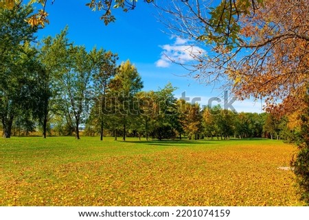 The magic of multicolored autumn. Quebec, Canada. Sunny day. Well-groomed lawn strewn with fallen leaves