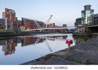 Magic Mushroom Reflections, The Royal Armouries Museum In Leeds